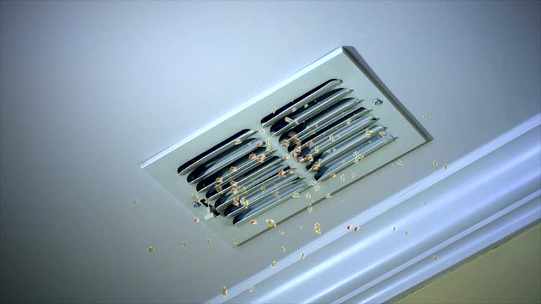 Best Air Duct Mold Removal  in Peshtigo, WI